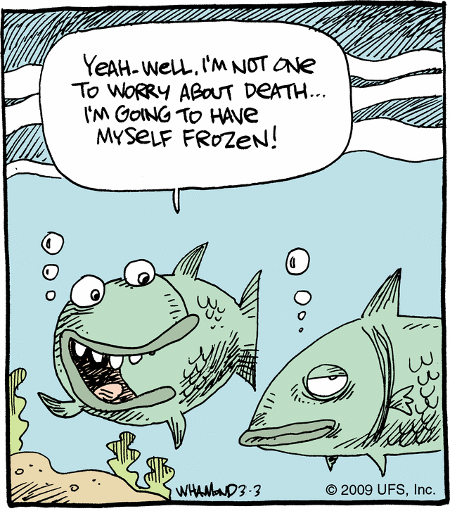 check